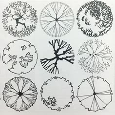 an image of different types of umbrellas drawn in ink on paper with pen and ink