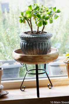 a potted plant sitting on top of a wooden stand in front of a window