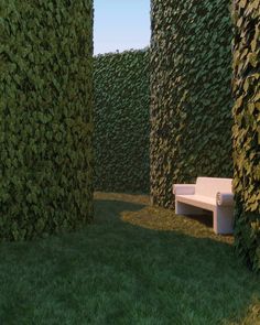 a white bench sitting between two tall hedges