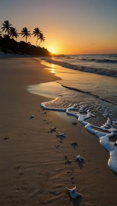 the sun is setting over the ocean with footprints in the sand and palm trees on the beach