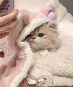 a white cat wearing a pink unicorn outfit on top of a bed next to a woman's hand