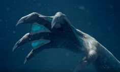 two dolphins are swimming in the water with their trunks extended and one is touching each other's head