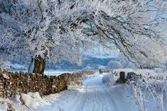 a snow covered road next to a stone wall and tree with no leaves on it