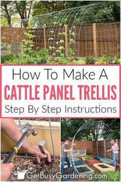 how to make a cattle panel trellis step by step instructions for gardening in the garden