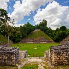 the pyramids are surrounded by trees and grass