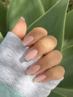 Balirena Nails Short, Classy Everyday Nails, Classic Nails Coffin, Gel Nails Ideas Ballerina, Classic Ballerina Nails, Nutreal Acrylic Nails, Natural Color Coffin Acrylic Nails, Natural Medium Length Nails, Nude Ballerina Nails Medium