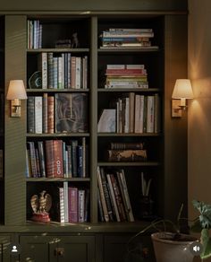 a bookshelf filled with lots of books next to a wall mounted lamp and potted plant