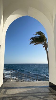 an archway leading to the ocean with a palm tree