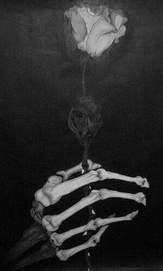 there is a skeleton holding a rose in the dark