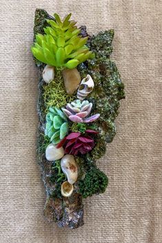 a piece of art made out of rocks and plants