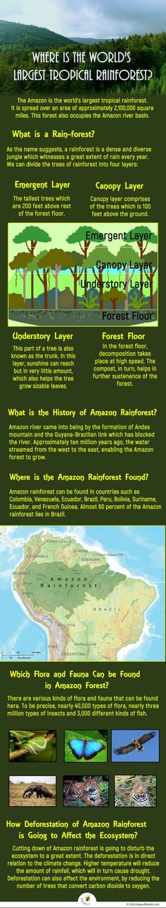 an info sheet describing what the world's largest tropical islands are made out of