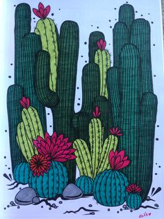 an image of a cactus with flowers on it