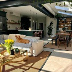 a dog laying on a couch in a living room next to a table and chairs