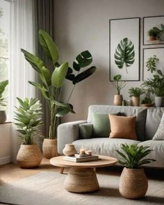 a living room filled with lots of potted plants next to a couch and coffee table