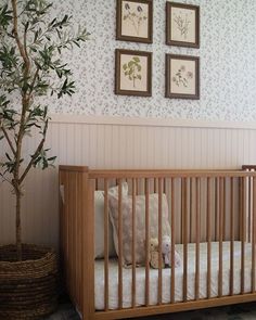 a baby crib next to a small tree in a room with wallpaper and pictures on the walls