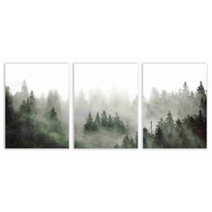 three canvases with trees in the fog on white background, one is black and green