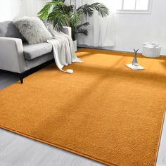 an orange rug in a living room with a white couch and potted plant on the floor