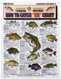 a poster showing different types of fish on the cover of a book with instructions to catch them