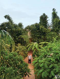 a man standing in the middle of a lush green forest filled with trees and plants