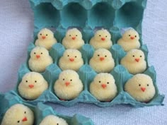 there are many little chicks in an egg carton