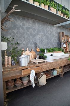 a kitchen filled with lots of potted plants on top of wooden shelves next to a sink