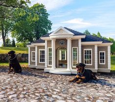 two dogs sitting in front of a small house on cobblestone ground with grass and trees