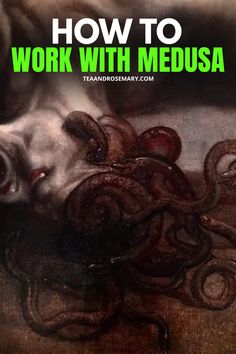 an octopus laying on the ground with text overlay reading how to work with medusa