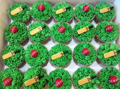 cupcakes with green frosting and red decorations in a box