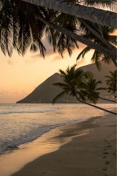 palm trees line the beach as the sun sets over the ocean and mountains in the distance