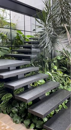 the stairs are surrounded by plants and greenery