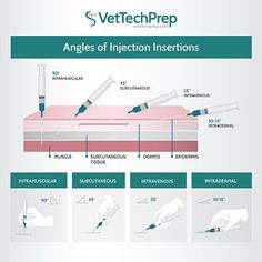 an info sheet describing the angles of injection insertions