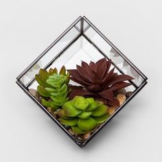 a square glass vase filled with succulents and other plants on top of a white surface