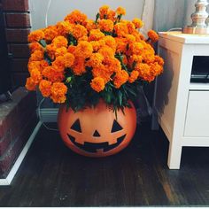 a pumpkin shaped planter with orange flowers in it sitting on a wooden floor next to a white nightstand