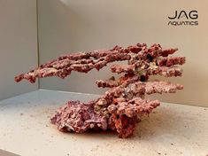 a red piece of rock sitting on top of a white counter next to a wall