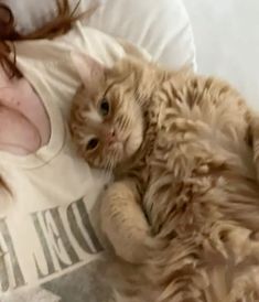 a woman laying on top of a bed next to a brown cat with long hair