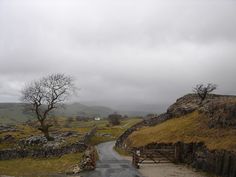 an empty road in the middle of a grassy area with trees and rocks on both sides