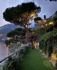 a lush green lawn next to the water