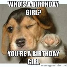 Happy Birthday Humorous, Puppy Meme, Happy Birthday Friendship, Funny Happy Birthday Meme, Happy Birthday Typography, Happy Birthday For Him, Funny Birthday Meme, Nursing Exam, Happy Birthday Dog