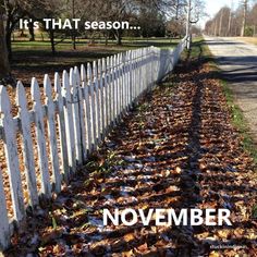 a white picket fence with leaves on the ground next to it that says, it's that season