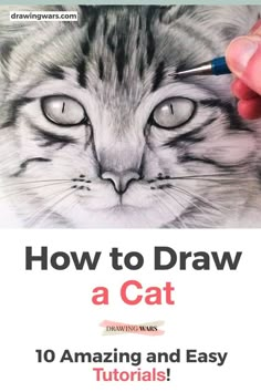 how to draw a cat in 10 easy steps