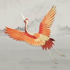 an orange and white bird flying in the sky