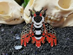 a red and black insect sitting on top of a table next to a white skull