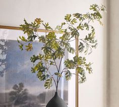 a plant in a vase sitting on a table next to a framed photograph and a painting