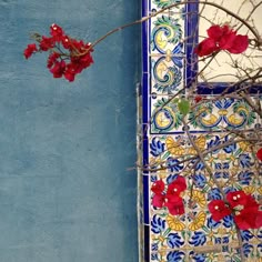 some red flowers are growing out of a blue and white wall with tiles on it