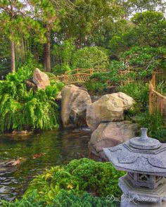 a small pond surrounded by rocks and plants