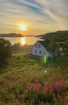 a white house sitting on top of a lush green field next to a body of water