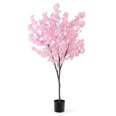 a pink tree in a black pot on a white background