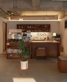 a kitchen with a potted plant on the counter