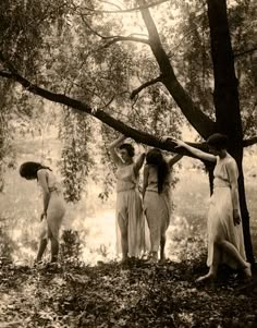 three women standing under a tree in the woods