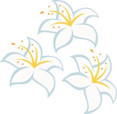 three white flowers with yellow centers on a white background